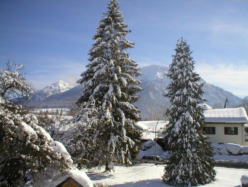 Gaestehaus Berger Inkl. Chiemgaukarte Ruhpolding Dış mekan fotoğraf
